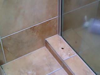 IR showing shower leak (1)